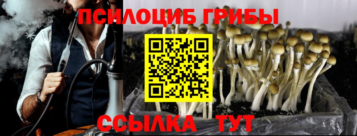 Галлюциногенные грибы Magic Shrooms Кыштым